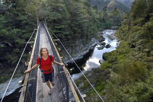 Pelorus Bridge Scenic Reserve